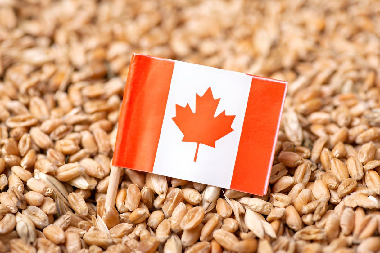 Canada's Agri-Food Immigration Pilot Jobs